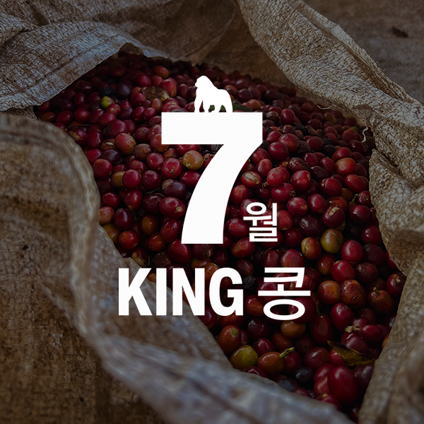[7월 King콩] 에티오피아 시다모 하마쇼 워시드 햇커피 상품 이미지 1